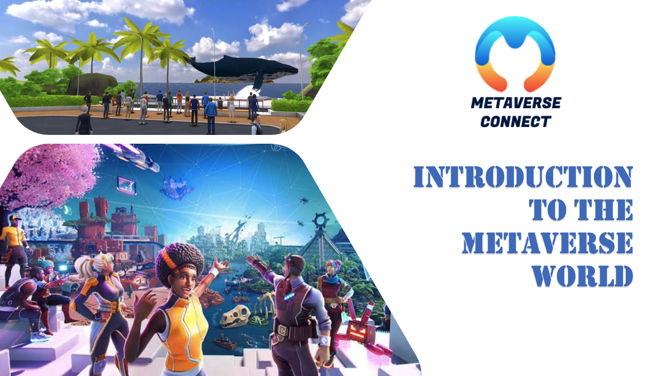 Introduction to the Metaverse world