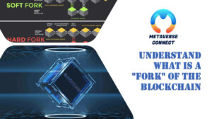 What is a "FORK" of blockchain